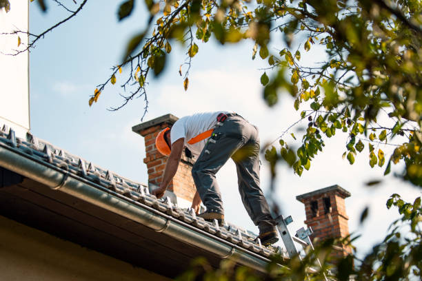 Best Solar Panel Roofing Installation  in Frankton, IN