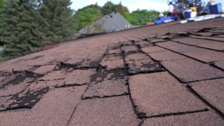 Best Roof Waterproofing  in Frankton, IN