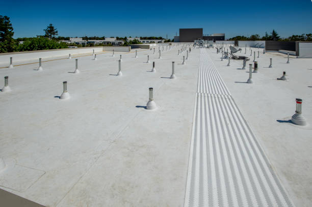 Best Roof Leak Repair  in Frankton, IN